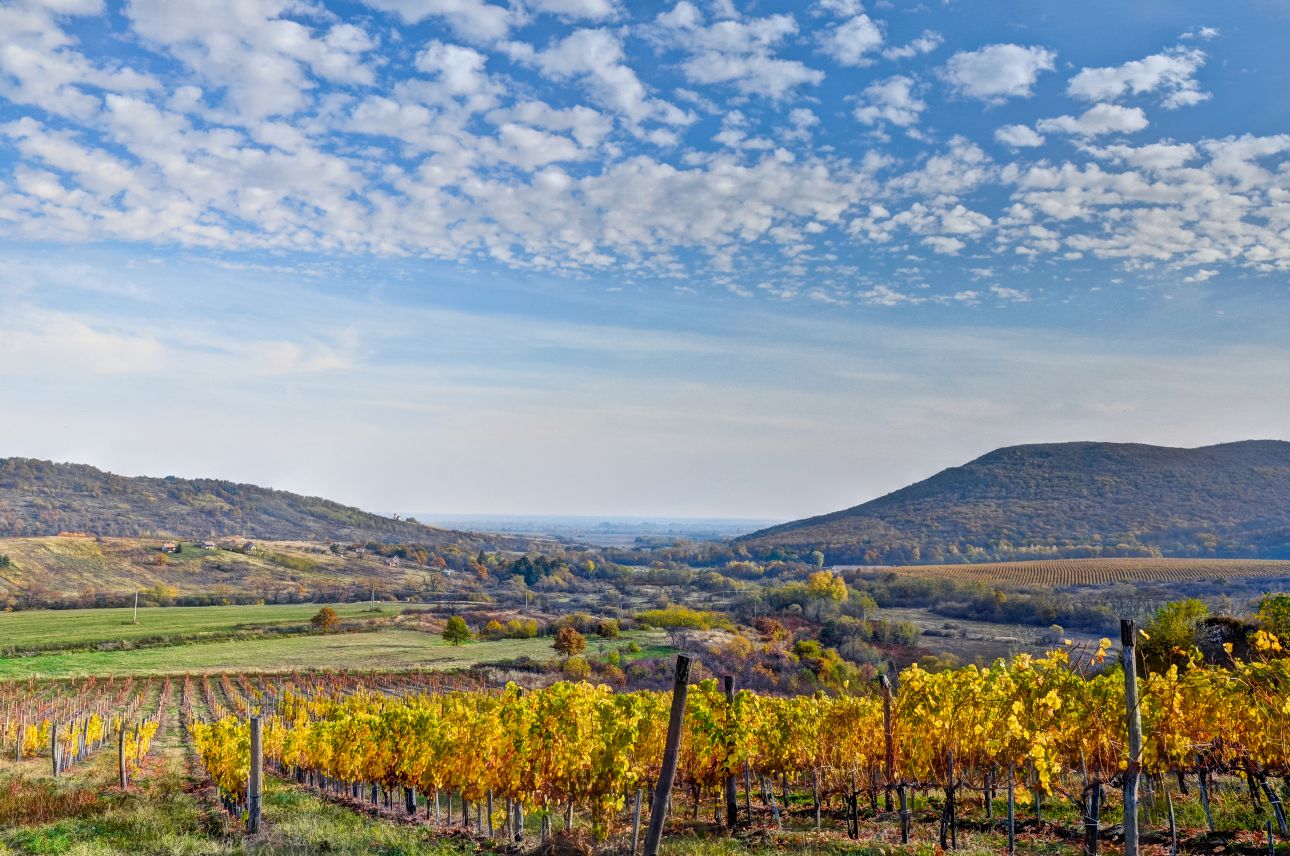 Tokaji borvid&eacute;k, Fot&oacute;: MT&Uuml;
