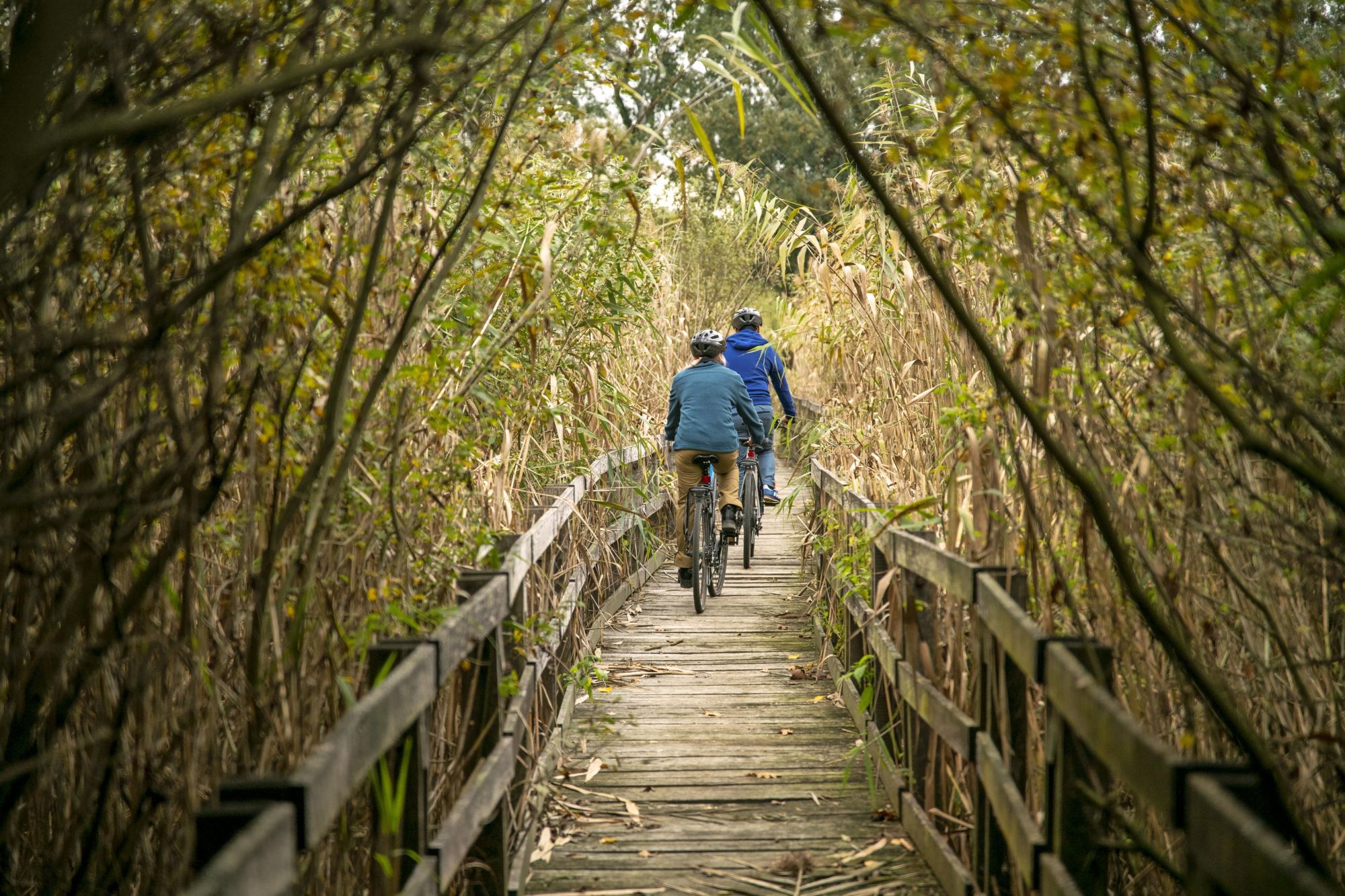 drava-bicikli, Fotó: DDNPI