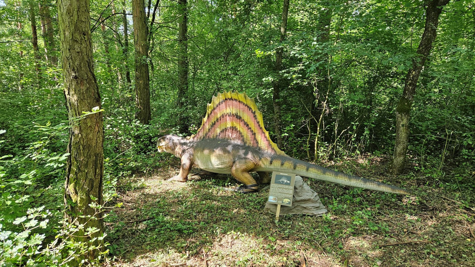 dinopark-pecs, Fotó: Pécsi Dinó Park