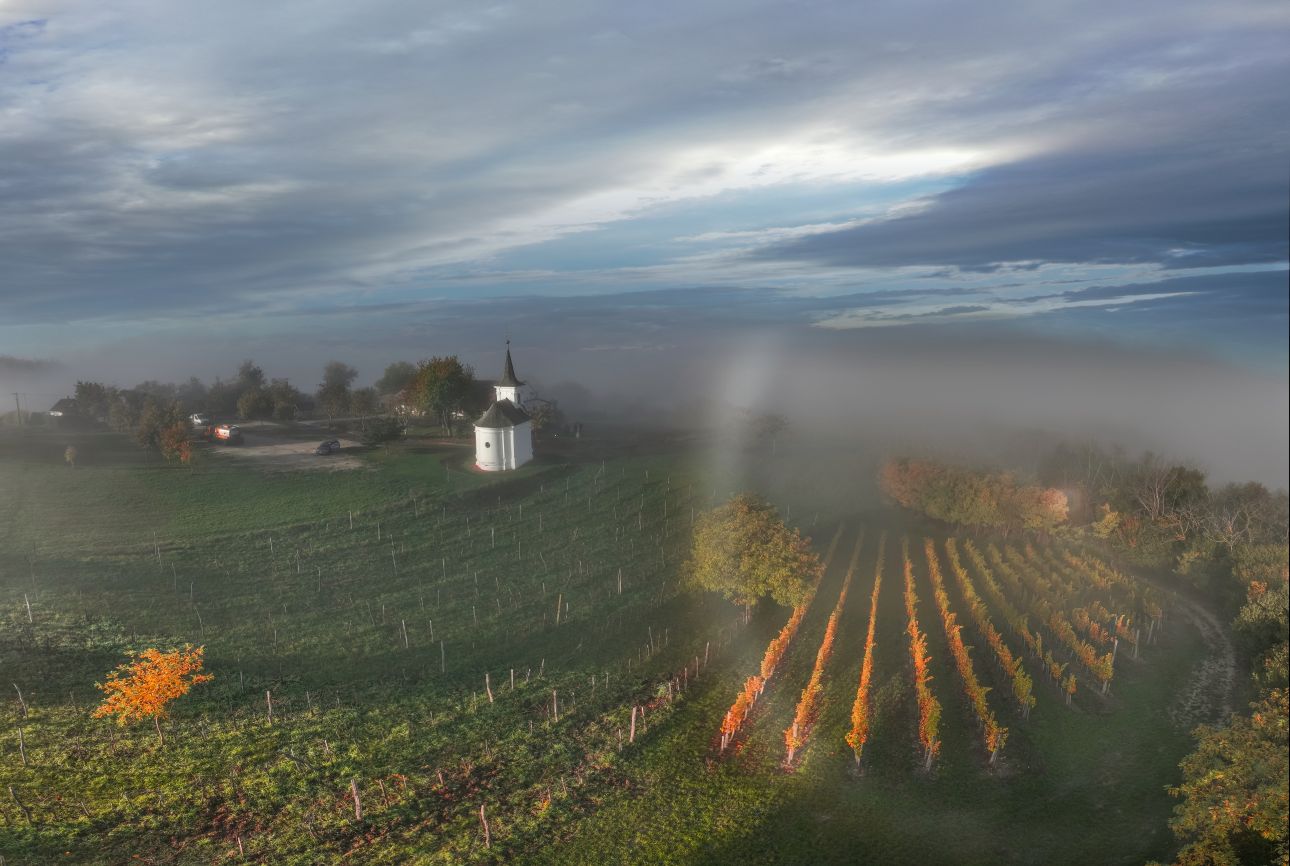 Balaton-k&aacute;polna-szőlőbirtok, Fot&oacute;: VisitBalaton365 / B&ouml;r&ouml;czky Bulcs&uacute;