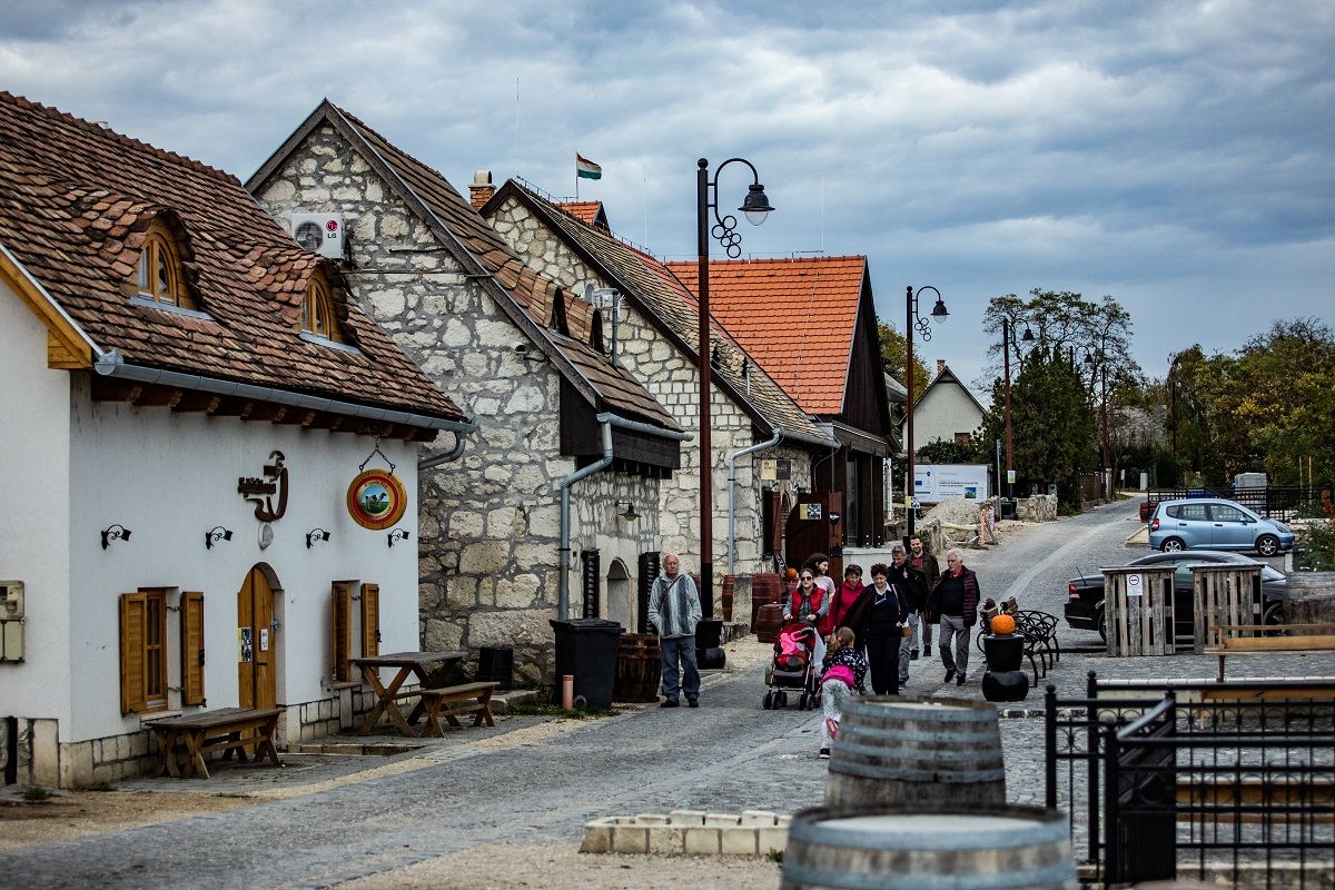 ujhegyi-pincesor-etyek, Fotó: Magyar Bor