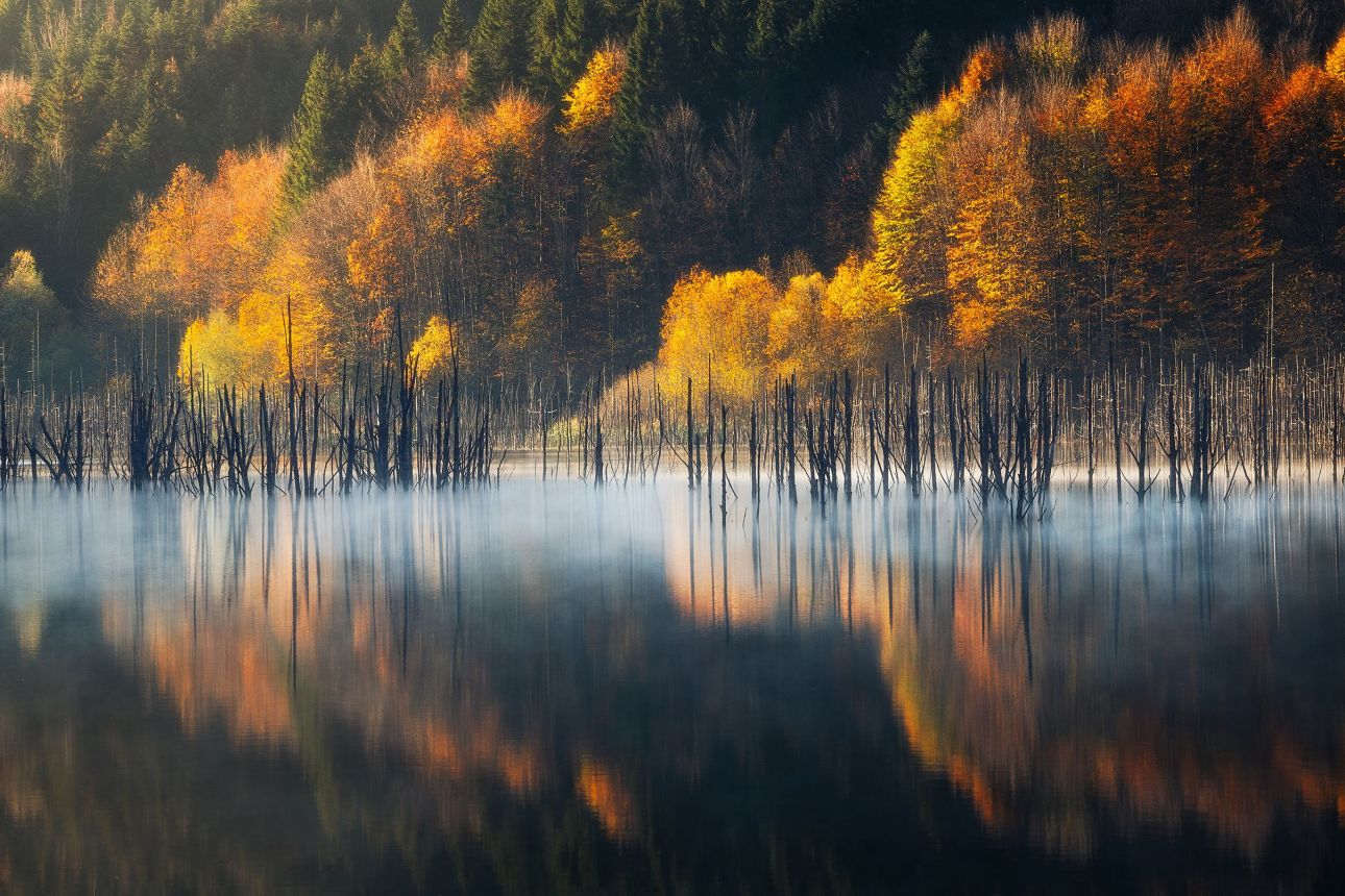TPOTY5-Vlad-Paulet