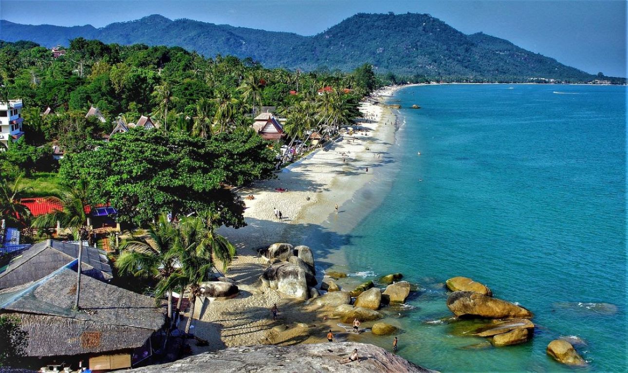 ko-samui-kiwi
