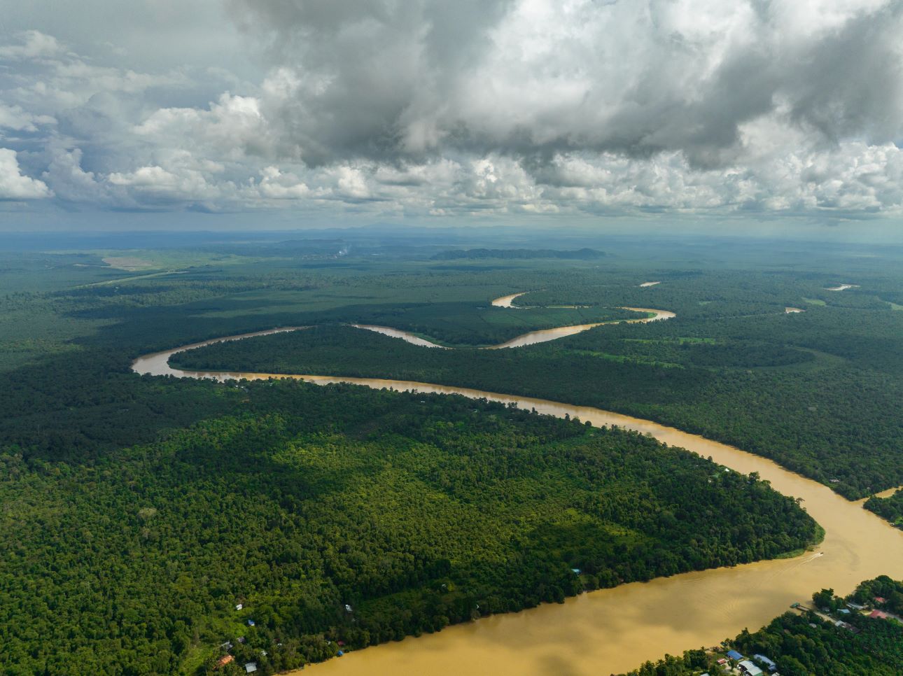 Kinabatangan-folyo-sabah-123rf, Fot&oacute;: 123rf.com