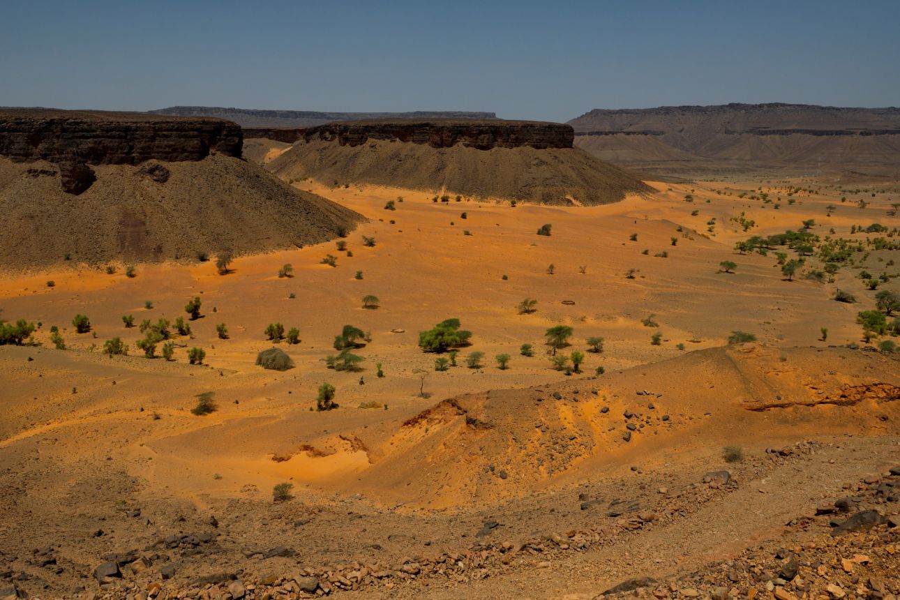 Mauritania-123rf