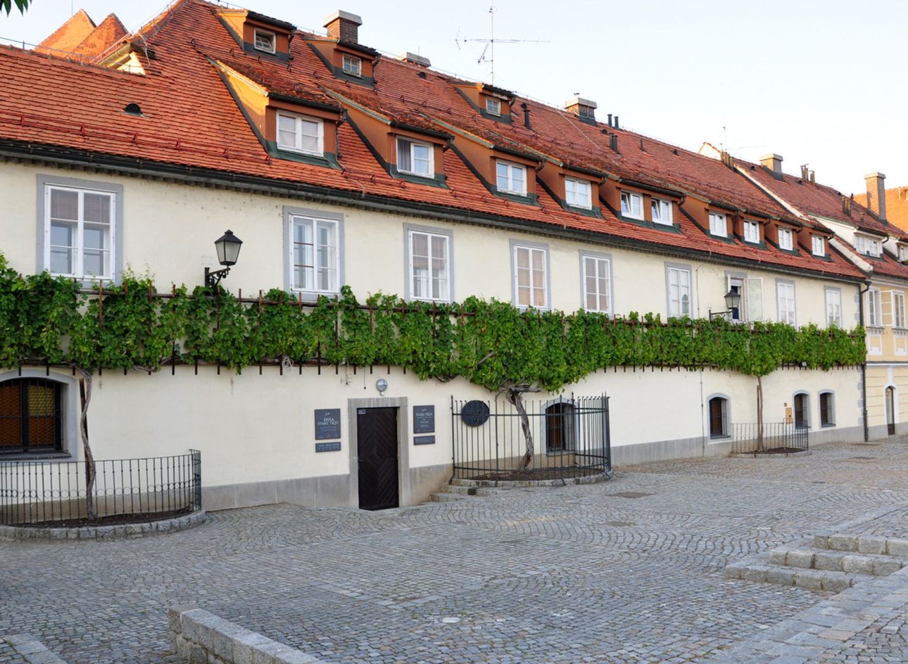 Maribor-szolotoke