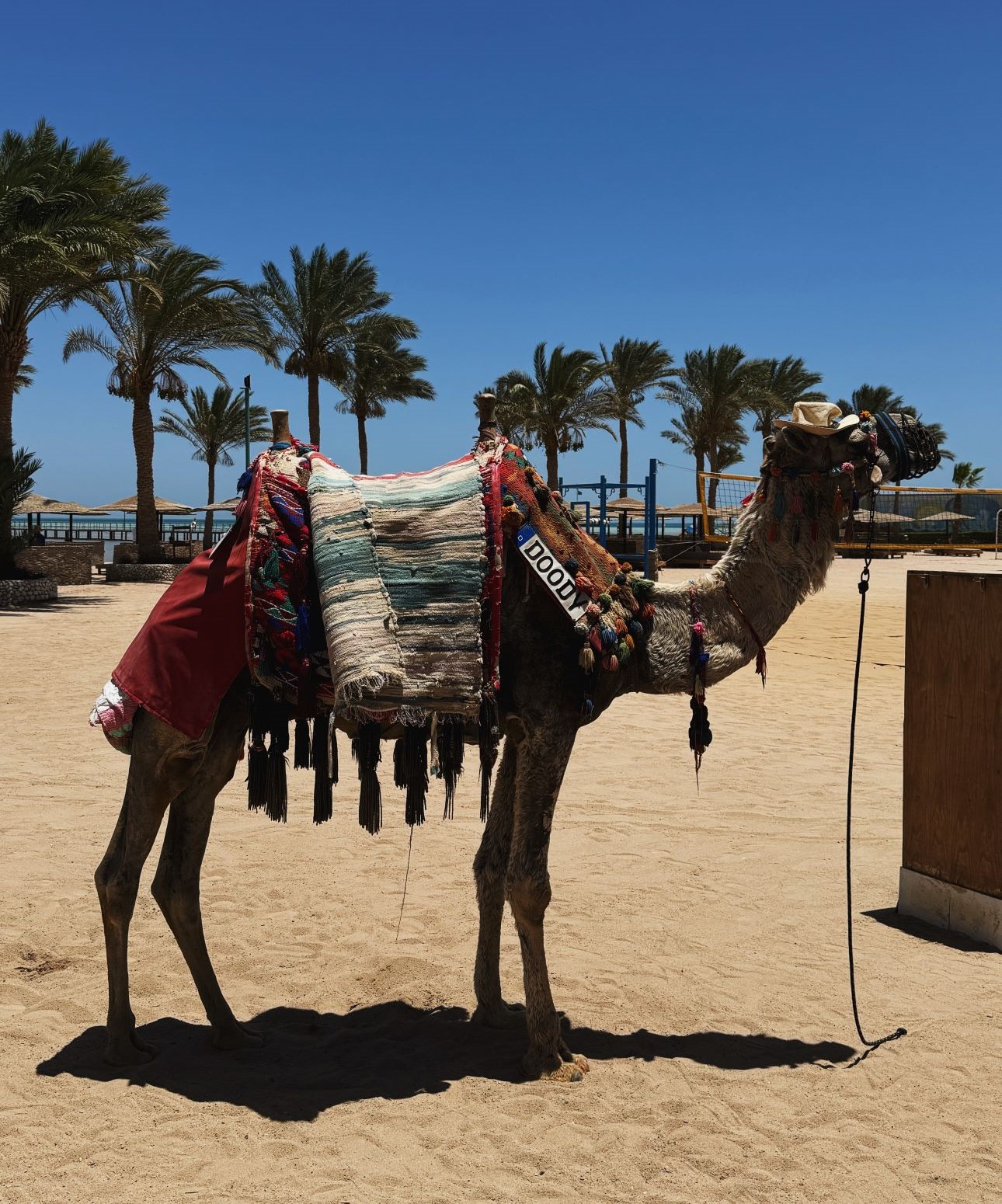 Hurghada-GOLDEN-BEACH-tevevel, Fotó: Orex Travel