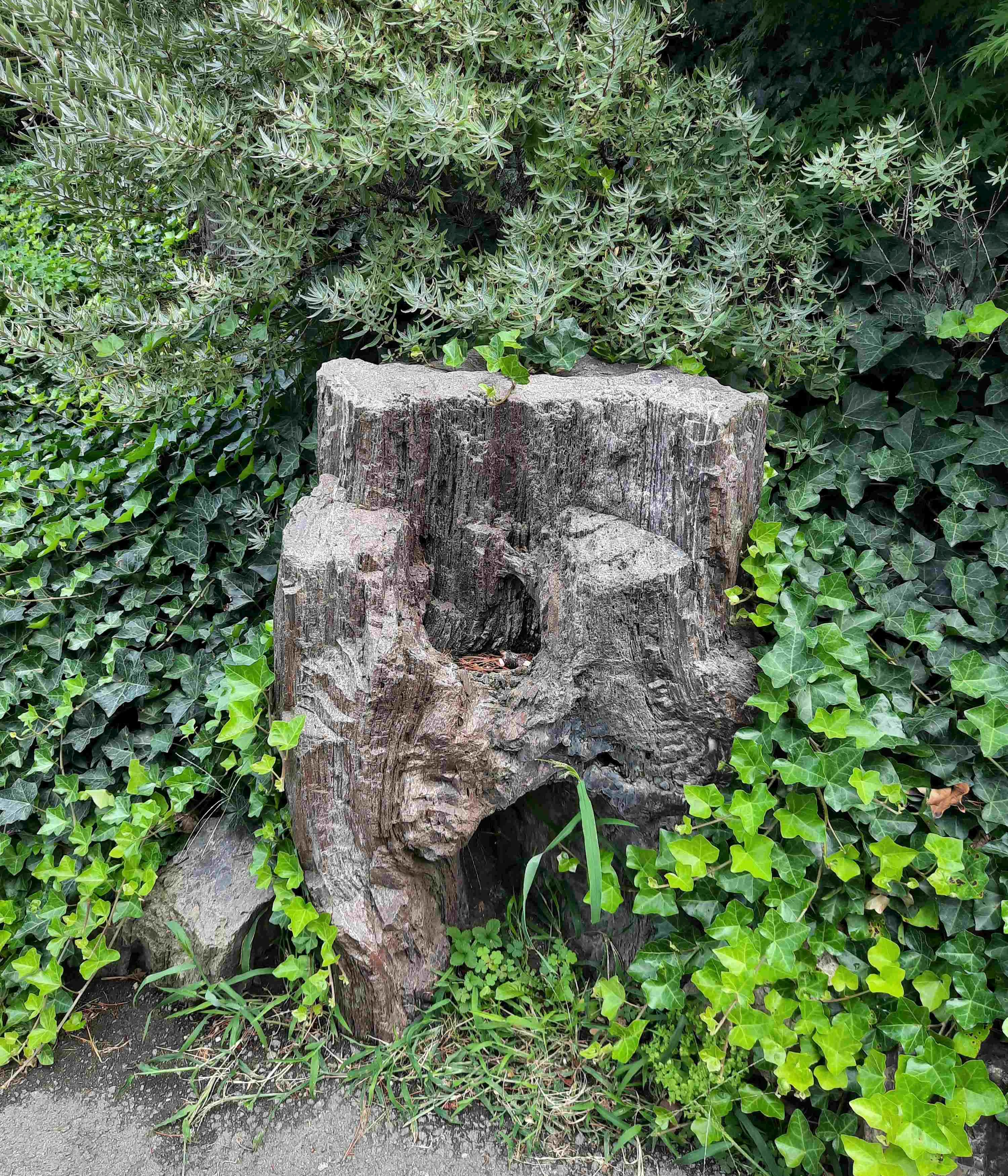 foto-stadtwien-umweltschutz-jpg