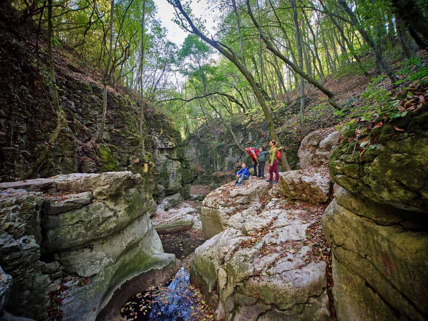 romaifurdo, Fot&oacute;: Akt&iacute;v Kalandor