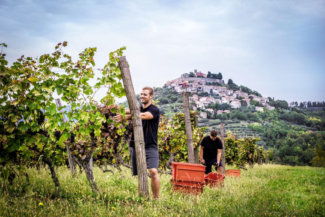 Motovun, Fotó: CNTB/Maja Danica Pečanić