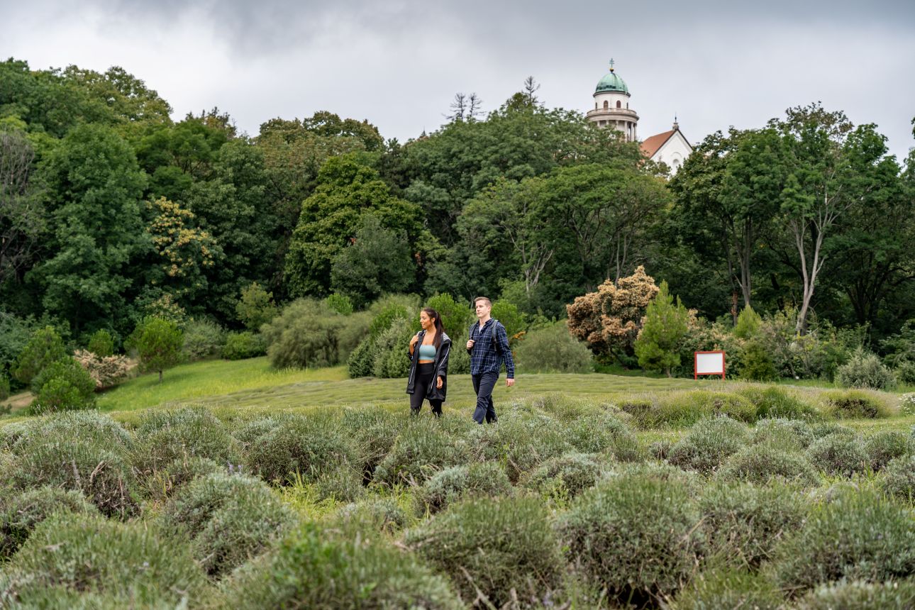 pannonhalma-arboretum-gyogynovenykert, Fotó: Aktív Magyarország