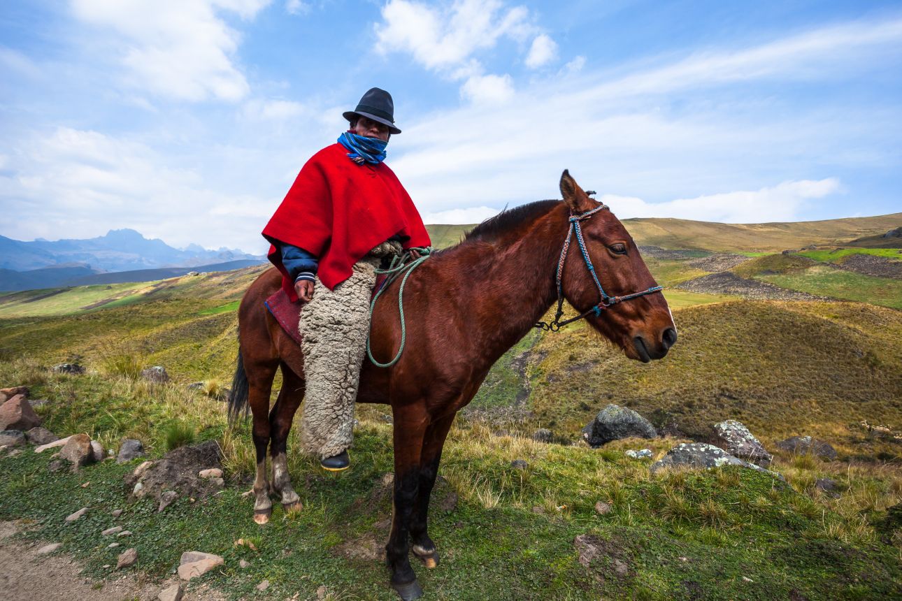 Ecuador-lovaglas-123rf