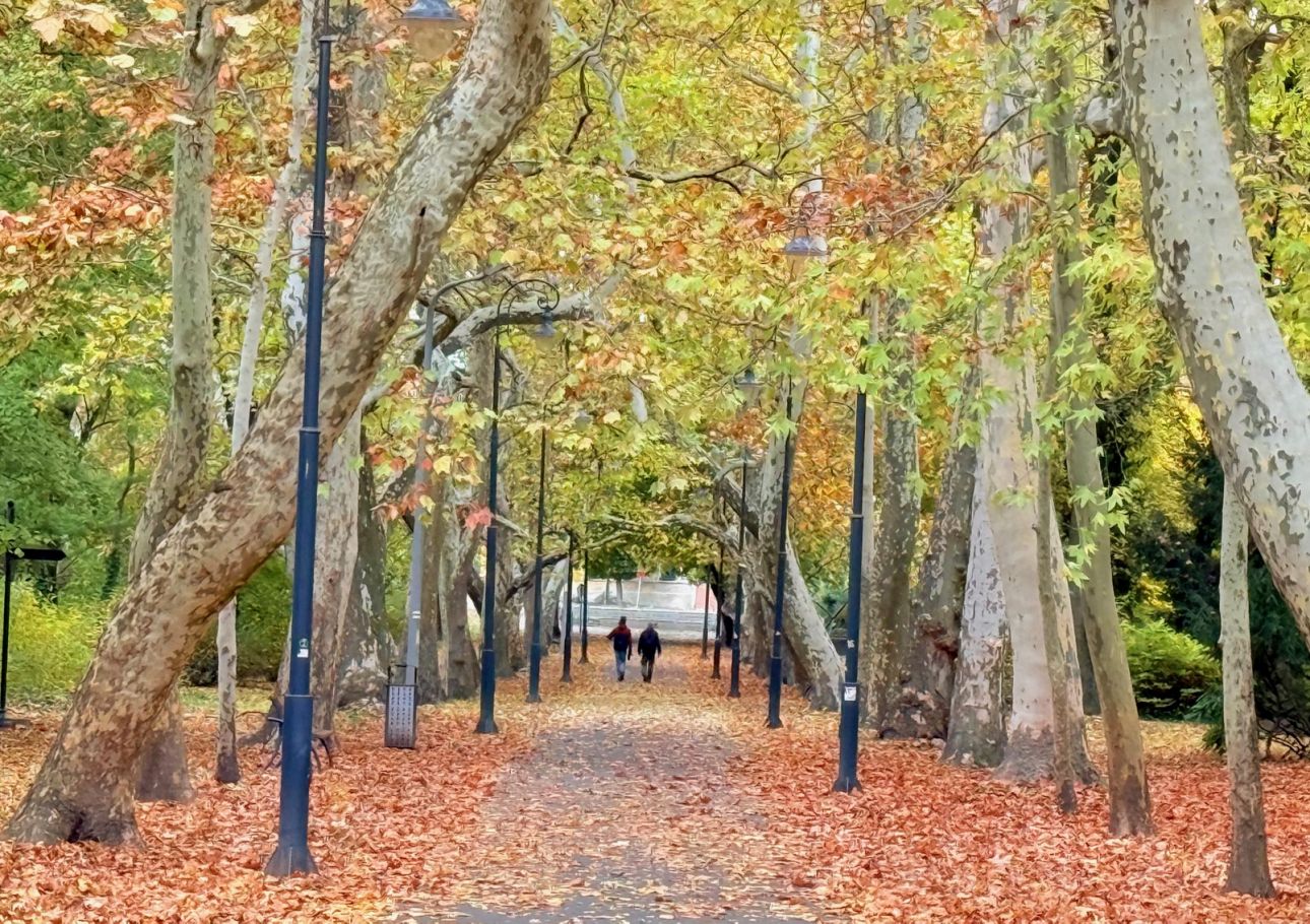 keszthely-helikon-park, Fot&oacute;: Hello Keszthely
