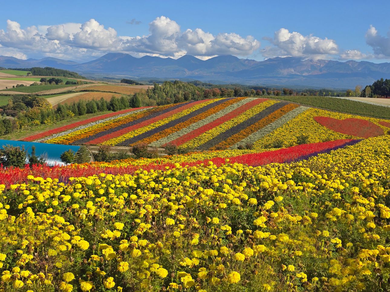 Hokkaido-123rf