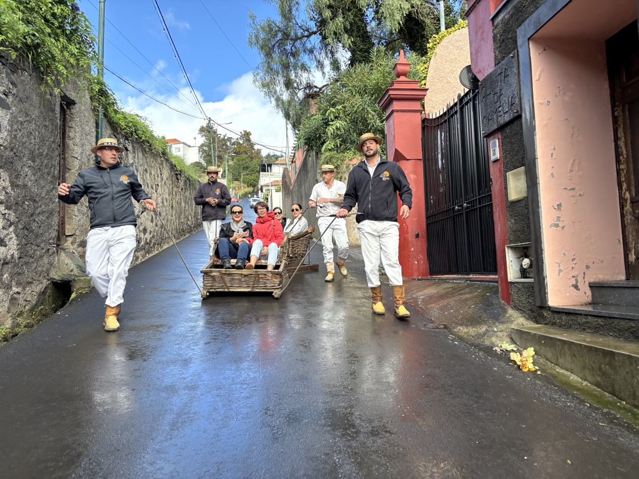kosarasszan-funchal, Fot&oacute;: Fucsk&oacute; Hajnalka