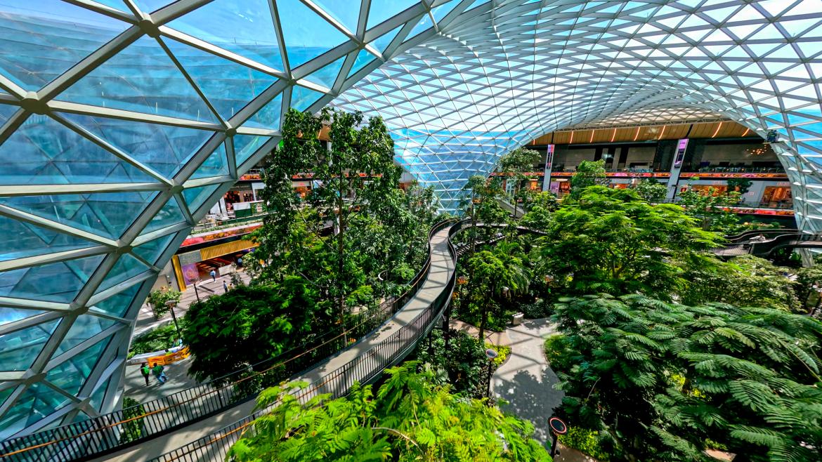 Tr&oacute;pusi hangulat a dohai rept&eacute;ren: The Orchard, Fot&oacute;: Hamad International Airport