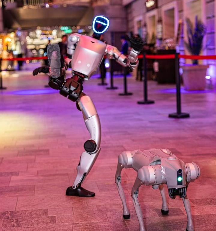 robot-msc-cruises