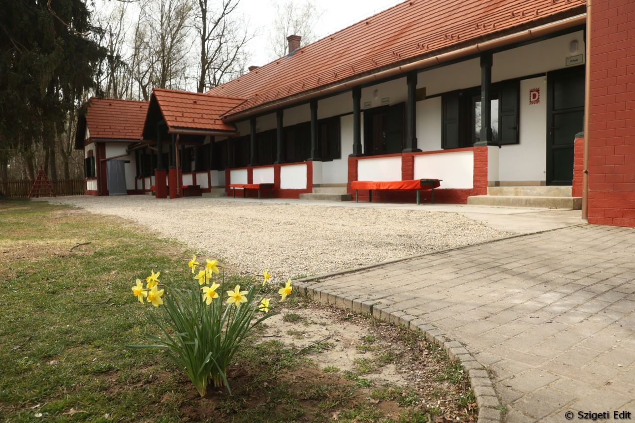 sziagyi-erdei-iskola-udvar, Fot&oacute;: Szi&aacute;gyi Erd&eacute;szeti Erdei Iskola