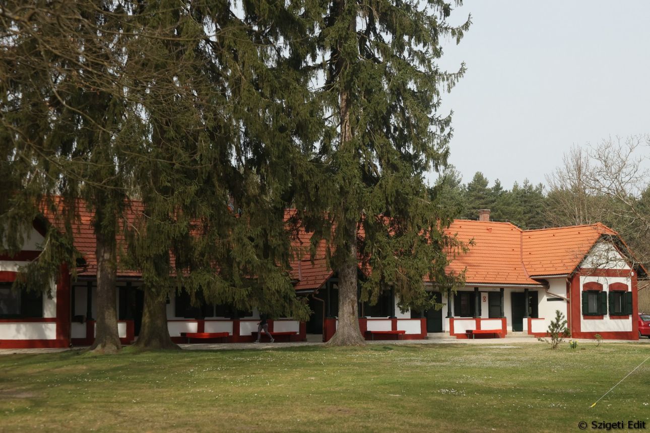 sziagyi-erdei-iskola, Fot&oacute;: Szi&aacute;gyi Erd&eacute;szeti Erdei Iskola