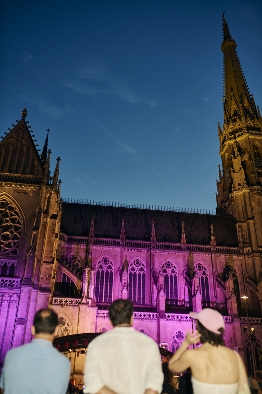 Mariendom, Linz, Fot&oacute;: Linz Tourismus/Martin Stoebich