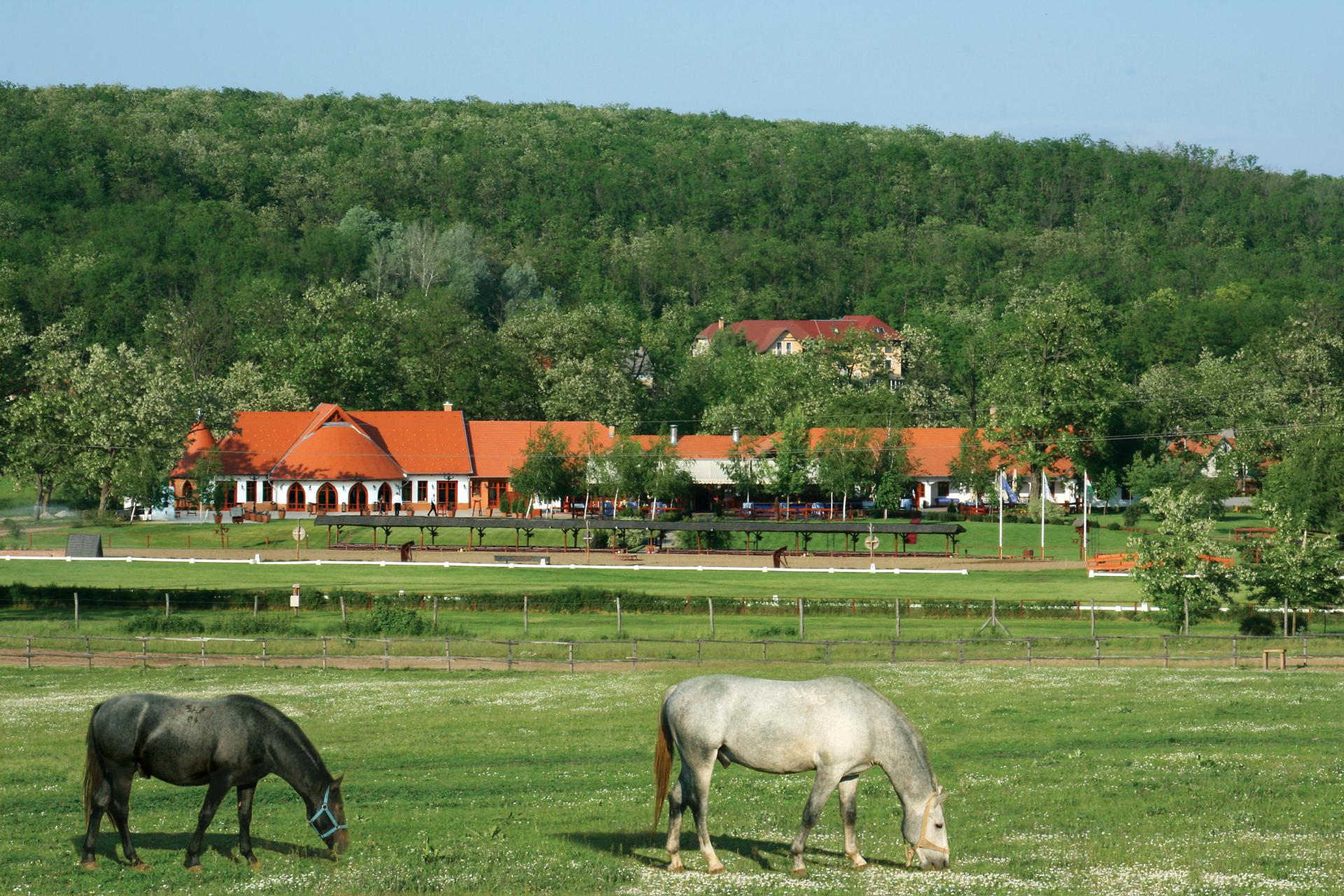 Lazar-Lovaspark, Fot&oacute;: Mythos Resort
