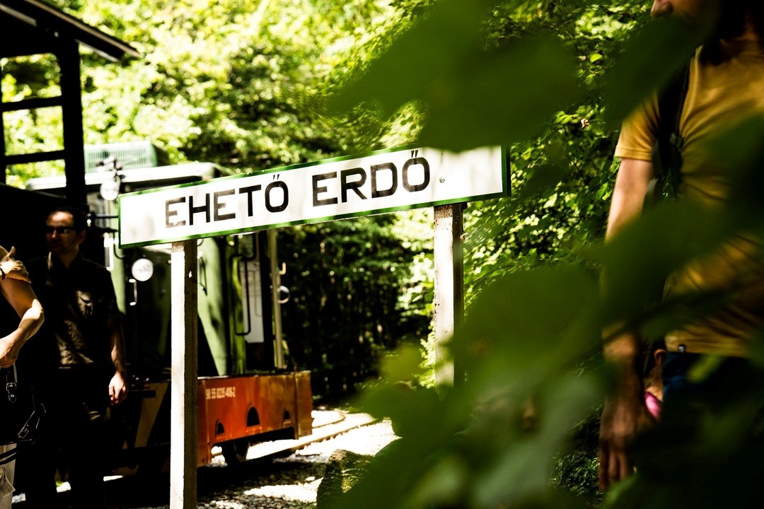 Eheto Erdo - Erdei Gasztroexpressz, Fotó: Horváth Csongor