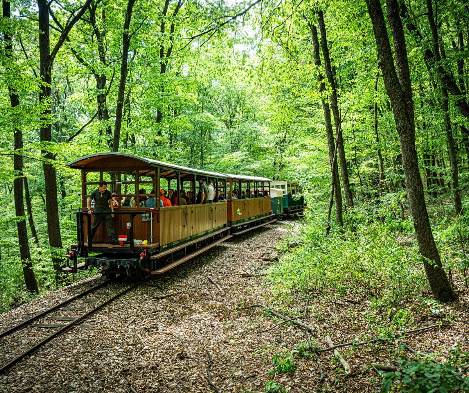 Miskolc-eheto-erdo-erdei-gasztroexpressz, Fot&oacute;: MIDMAR