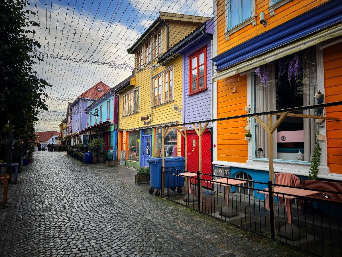 Stavanger-kiwi2