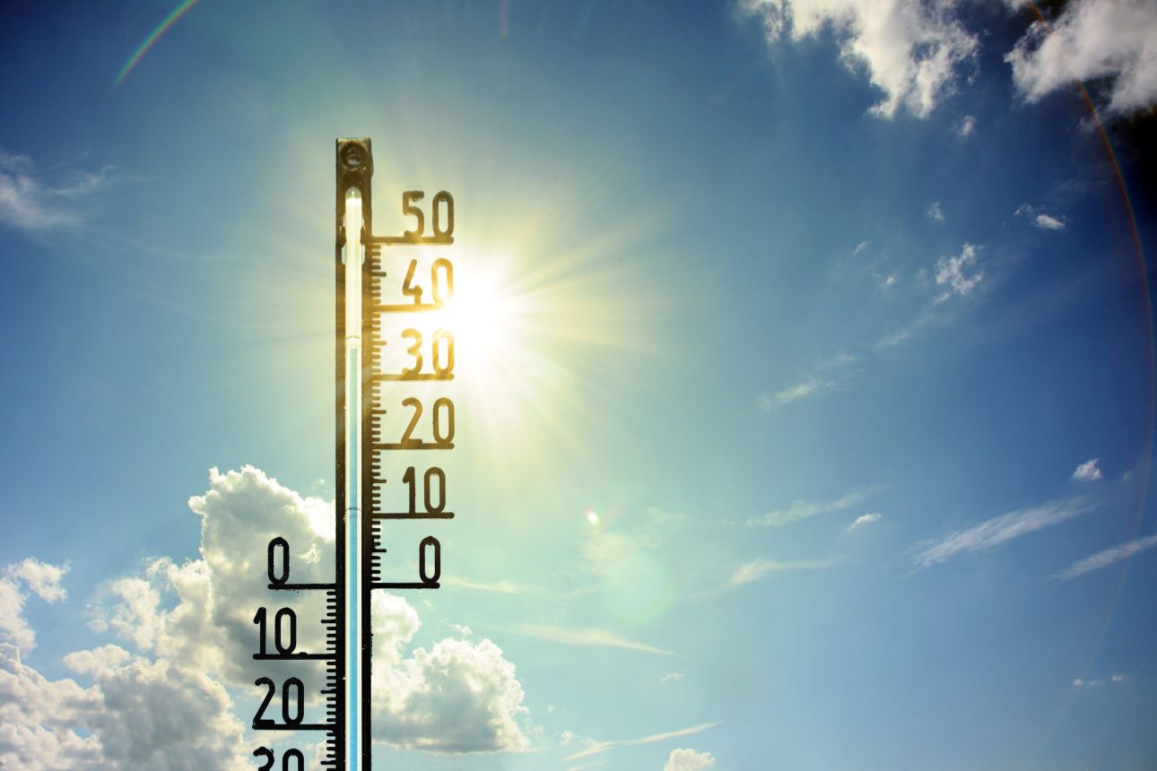 hoseg _123, Fot&oacute;: 123rf.com