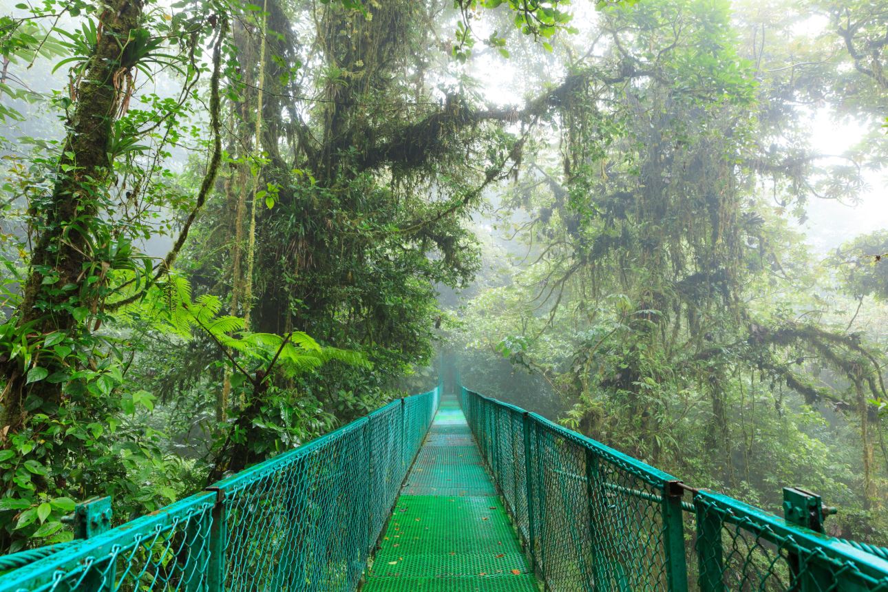 Monteverde-koderdo-123rf