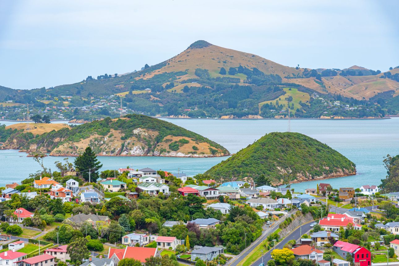 Port-Chalmers-123rf
