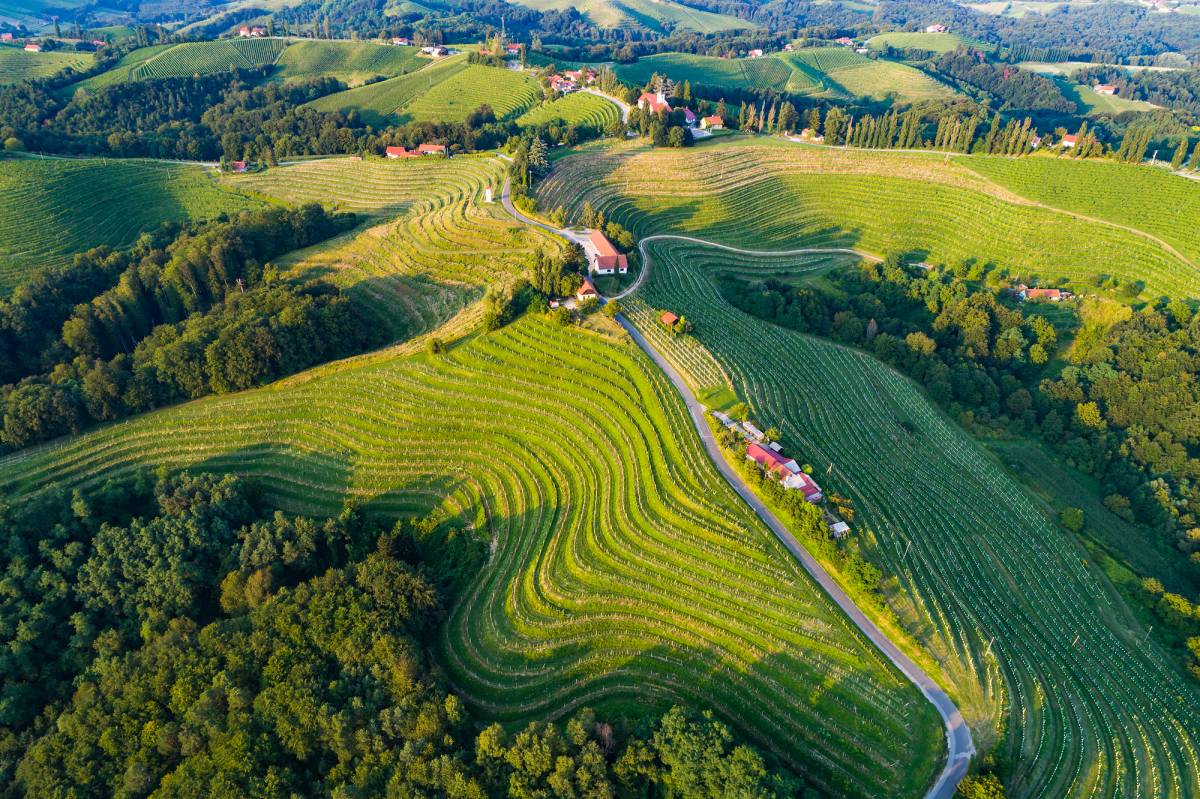 Stajerska_borrégió, Fotó: Szlovén Turisztikai Hivatal